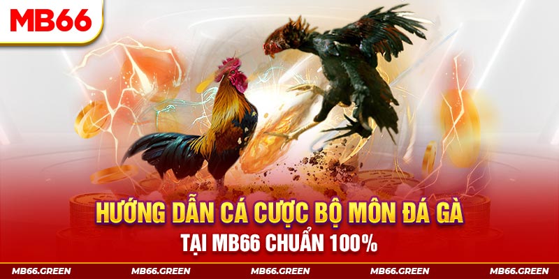 88club kết quả xổ số miền bắc ngày hôm nay