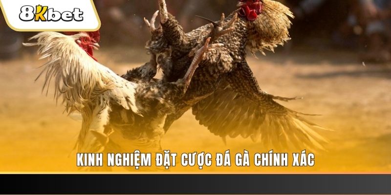 88club xổ số thứ bảy hàng tuần