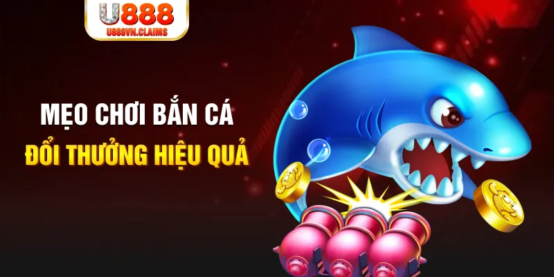 88club gà chọi cam ranh
