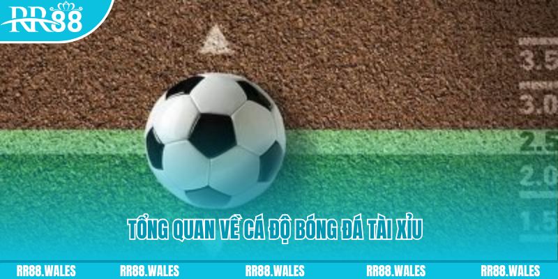 88club đăng nhập roulette online