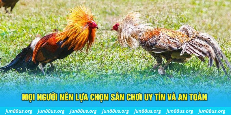 88club Cỡ bảy
