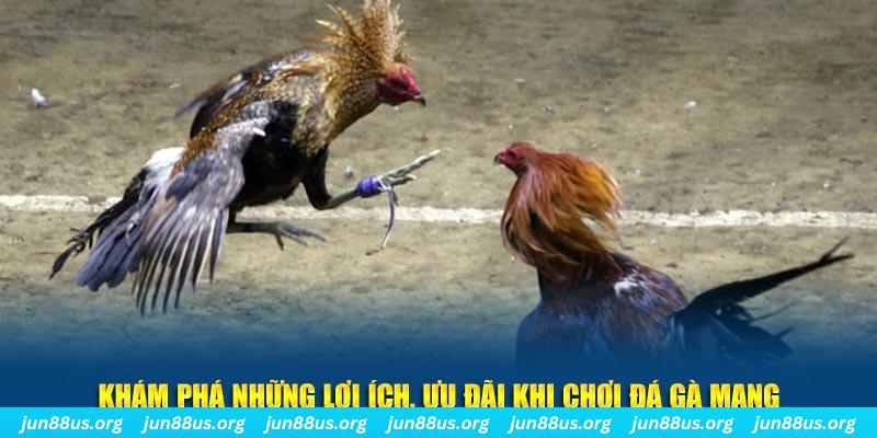 88club đăng nhập liêng live
