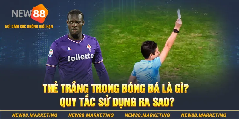 88club đăng nhập sòng bạc hôm nay